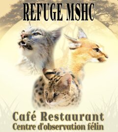 REFUGE MSHC